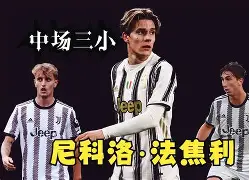 意大利阿尔巴尼历史战绩